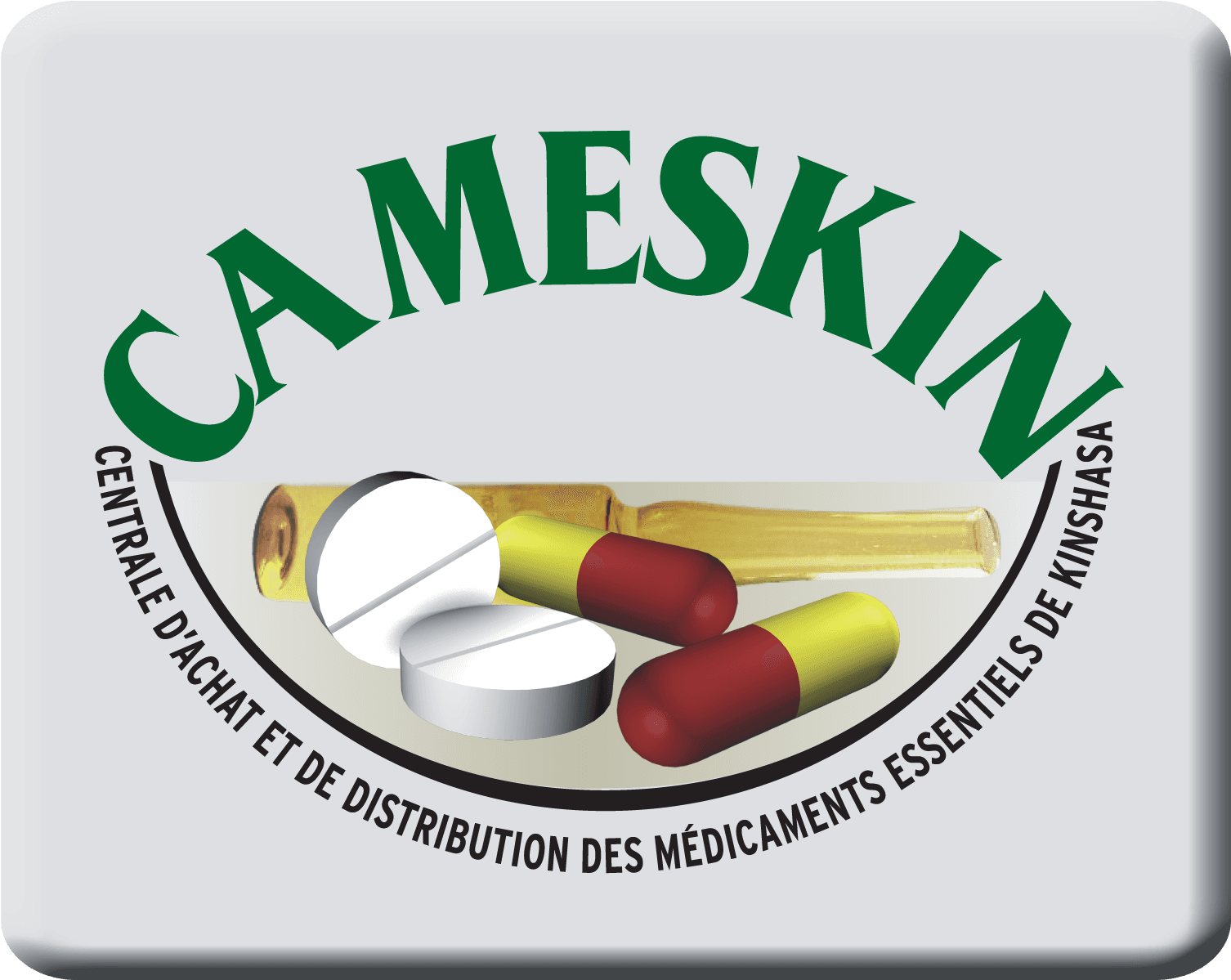 CAMESKIN